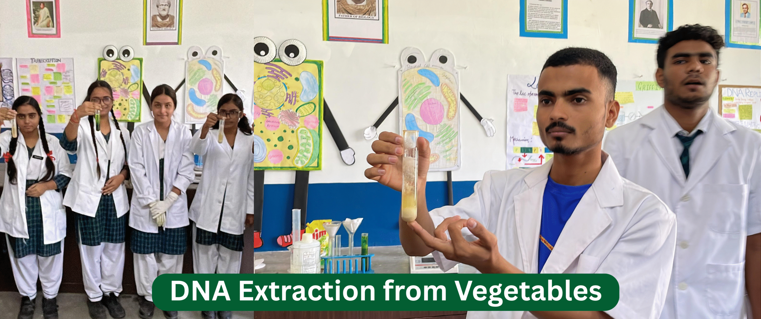 DNA Exctraction